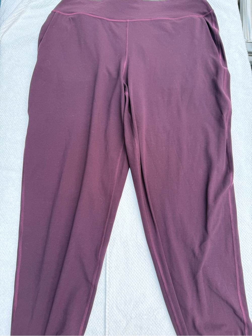 Plum lululemon High-Waisted align joggers - worn once size 12 like new
